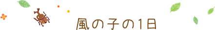 風の子の1日